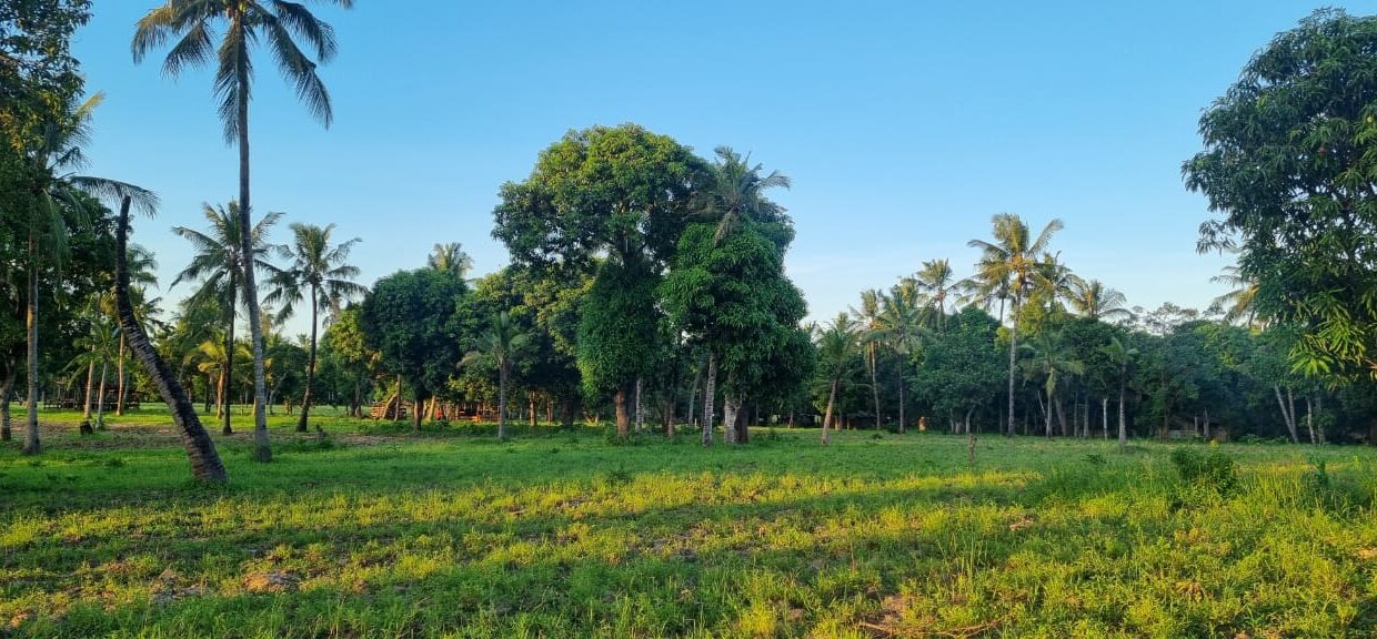 1a459e74-9080-42af-84dd-97b6c966871b