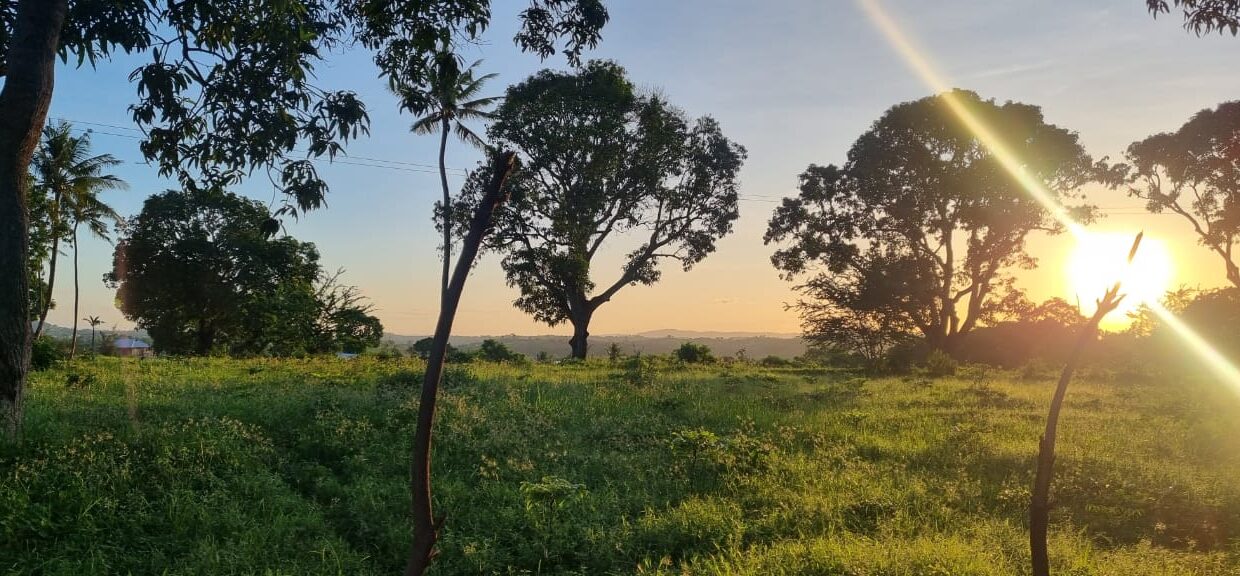 6b93208f-aafe-4758-afd4-e7091cb0438b