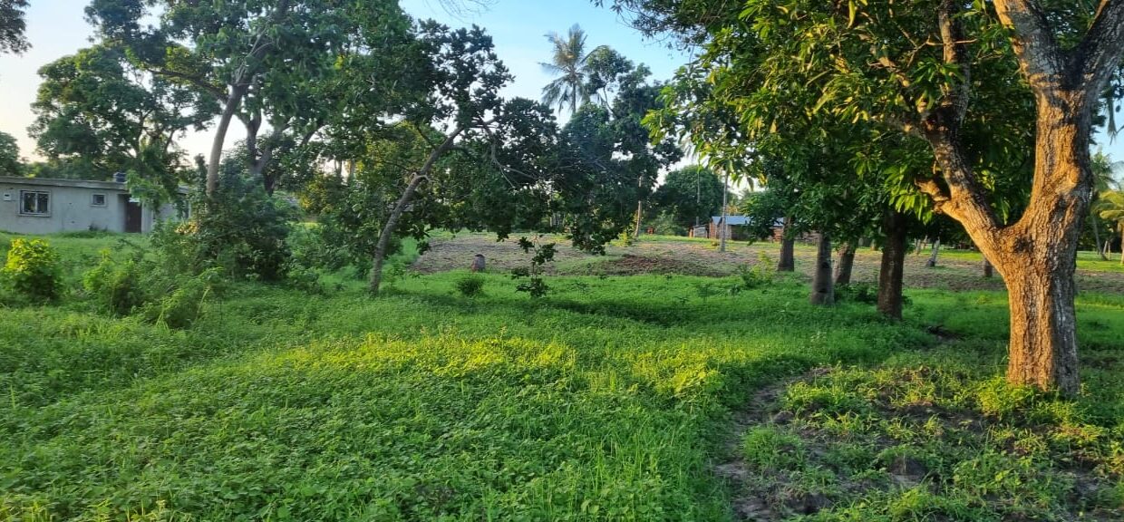 9285f4e1-7d72-47ea-bbbb-fdb4156cf3d6